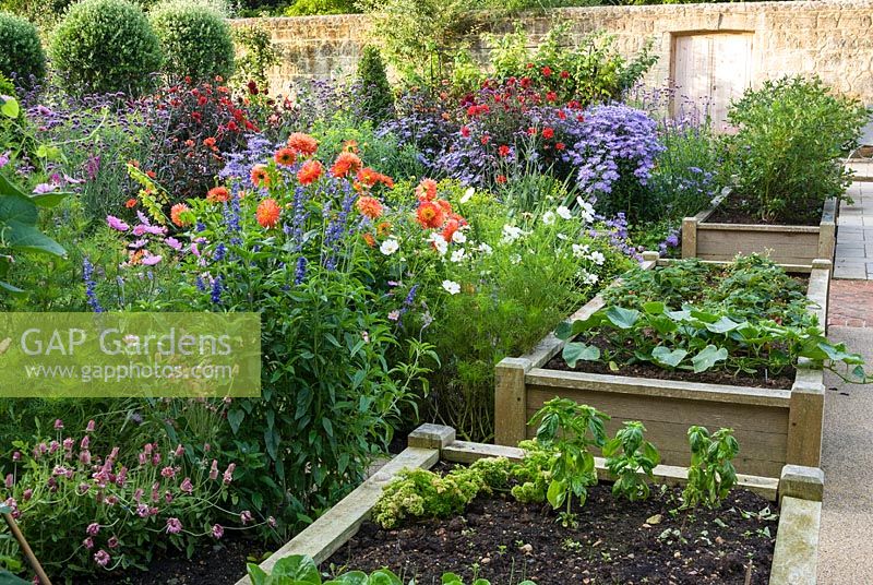 Raised beds in the walled garden host a variety of crops including salads, herbs, squashes and blueberries. 