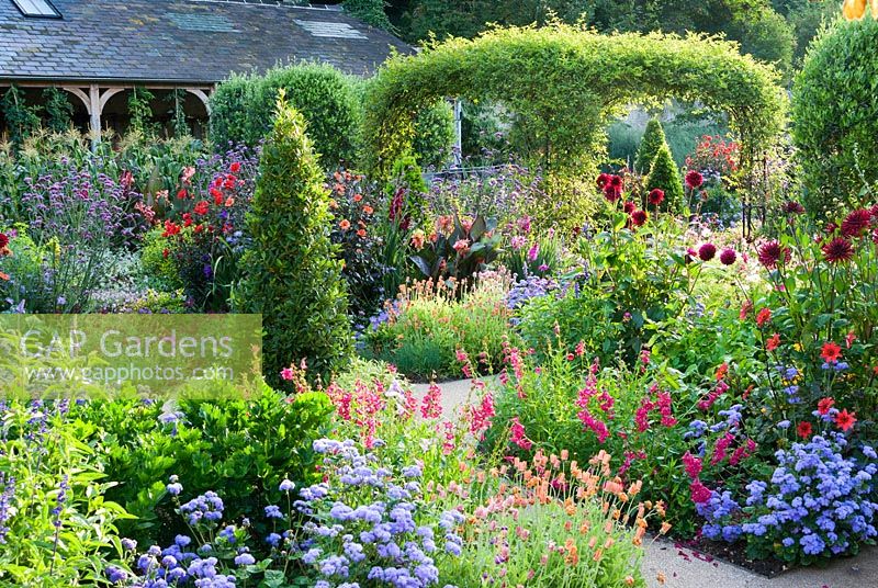 Standard olives, clipped bay pyramids and rose arch clad with Rosa banksiae surrounded by exuberant planting including dahlias, salvias, gladioli, ageratum, penstemon, osteospermum and Verbena bonariensis. 