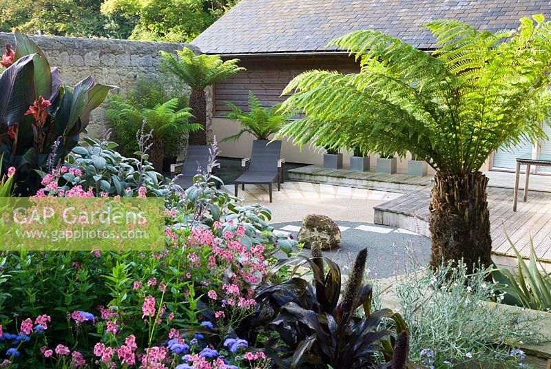 Minimalist Japanese style courtyard by the house is framed by exuberant planting including tree fern, dark purple Pennisetum glaucum, pink diascia, verbena and silvery plectranthus. 