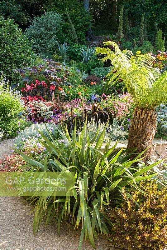 Exuberant planting ends at the retaining wall where the cool, minimalist courtyard begins. Planting includes tree ferns, phormiums, plectranthus, Salvia uliginosa, ricinus, cannas and dahlias. 