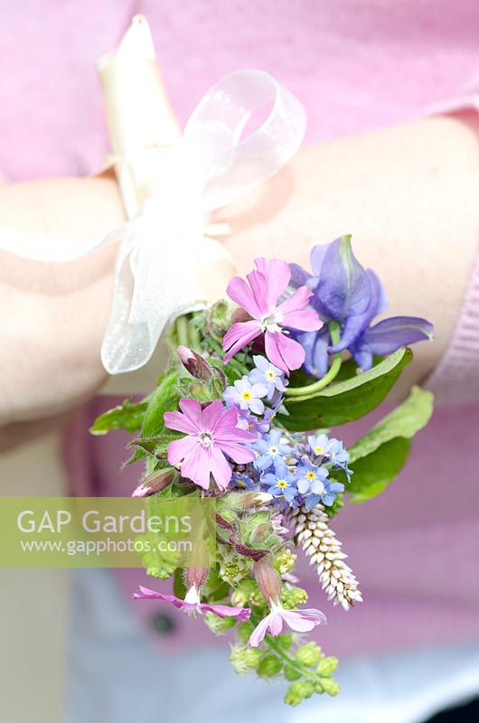 Early Summer posy of flowers, including Persicaria, Myosotis - Forget-me-not and Silene - Pink Campion