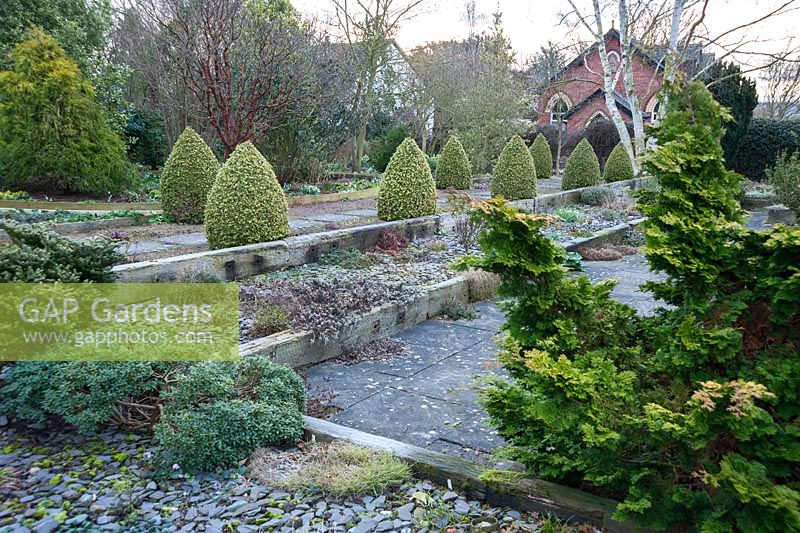 Raised beds constructed with weathered railway sleepers use a slate mulch to deter weeds and keep in moisture. Above two lines of Buxus sempervirens 'Elegantissima' clipped into cones frame a path of slabs set into gravel leading to white trunked Betula mandshurica. 