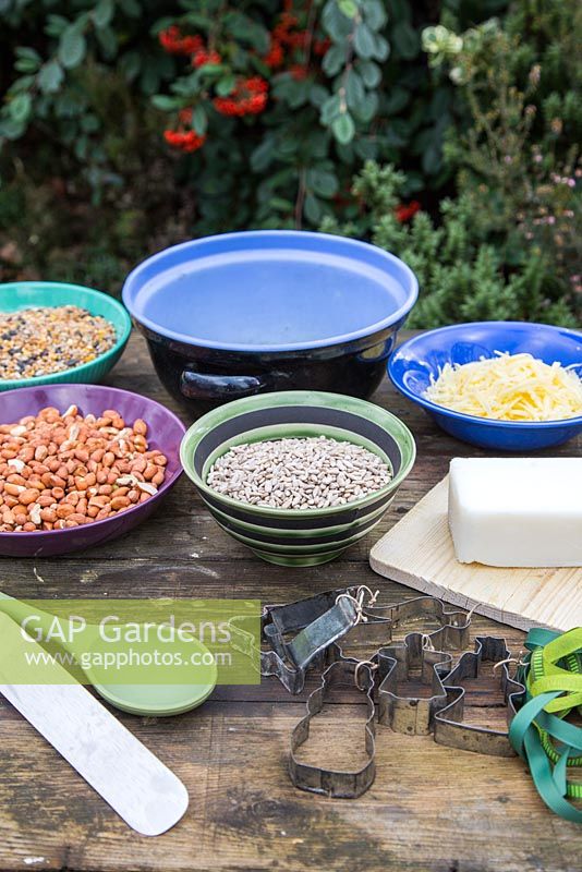 Tools and equipment for making bird feeders
