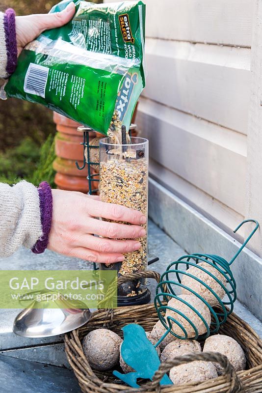 Refilling clean bird feeders with nutritious food