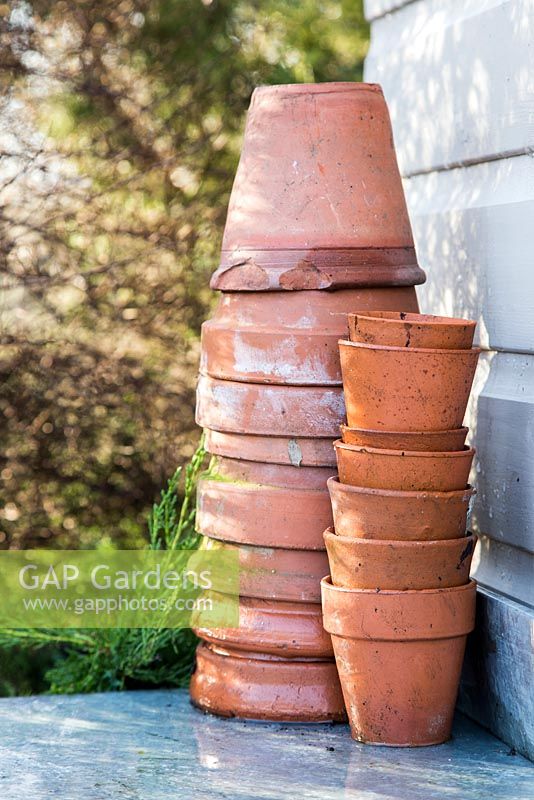 Collection of Terracotta pots on a potting bench, beside a shed with dappled lighting