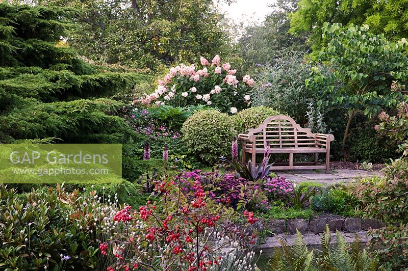 Wooden bench overlooking pond with Hydrangea paniculata, conifer, Sedum and Eucomis in country garden 
