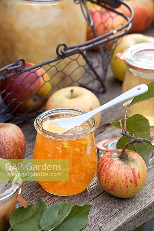 Apple marmalade made from Malus domestica 'Cox Orange'