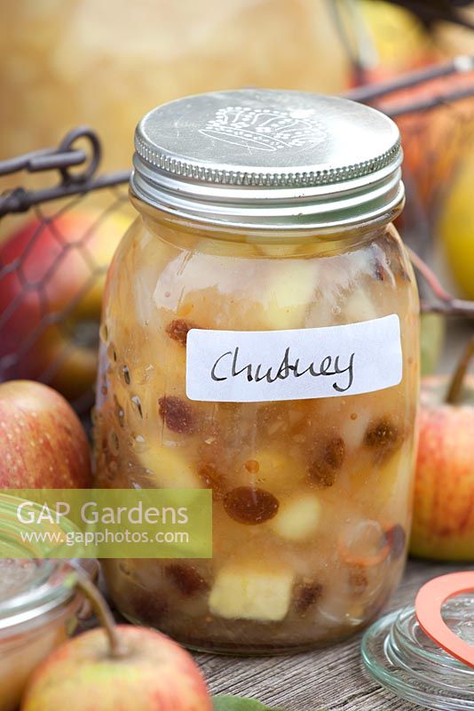 Apple chutney made from Malus domestica 'Boskoop'