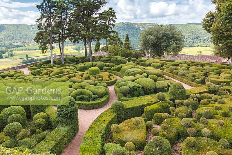 Gardens of the Chateau de Marqueyssac, Vezac, France. Box topiary in the Overhanging gardens of Marqueyssac.