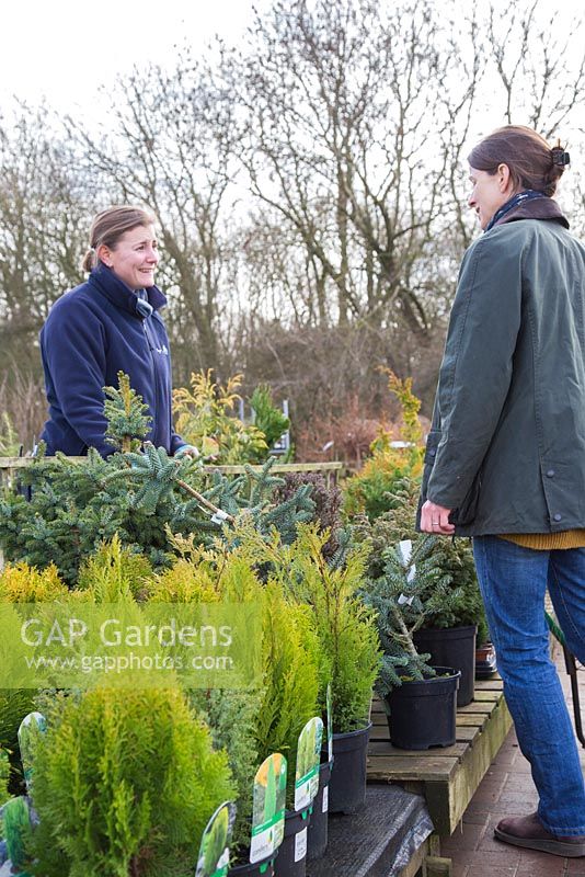 Woman browsing plant selection at a garden nursery. Employee giving guidance.