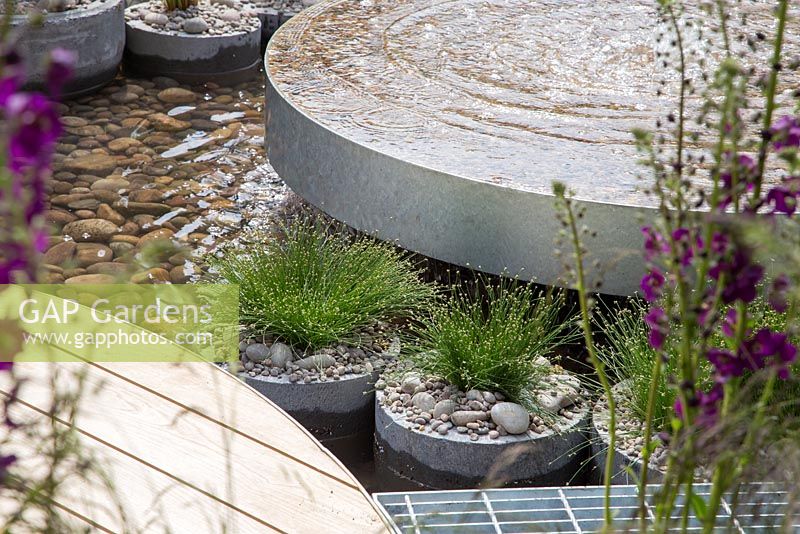 Scirpus cernuus planted in concrete cylinders, beside a spring water feature. Show Garden: RBC Blue Water Roof Garden. 