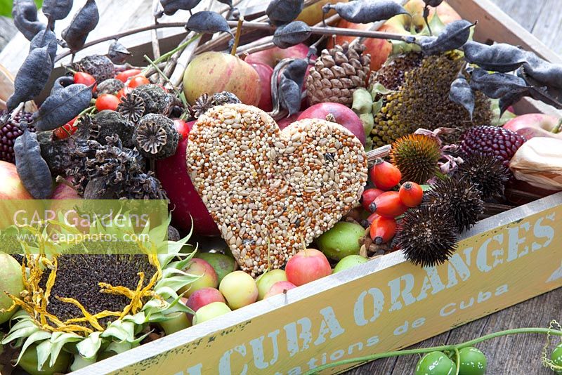 Display with heart shaped bird cake and dried flowers of Papaver somniferum, Helianthus annuus, Echinacea purpurea and Malus domestica