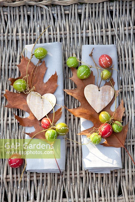 Table napkin decoration using oak leaves and  Quercus, Diplocyclos palmatus