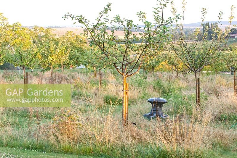 Orchard with apple sculpture by Dennis Fairweather and views to countryside beyond