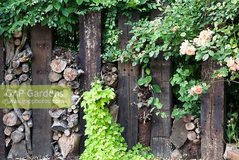 Decorative fencing using wooden sleepers and logs with Rosa 