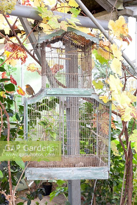 Decorative birdhouse inside greenhouse with robin