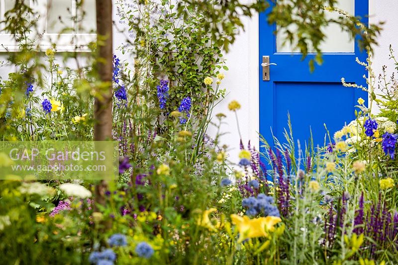 Mixed planting - 'Our First Home, Our First Garden' (Low Cost, High Impact Garden), RHS Hampton Court Palace Flower Show 2012