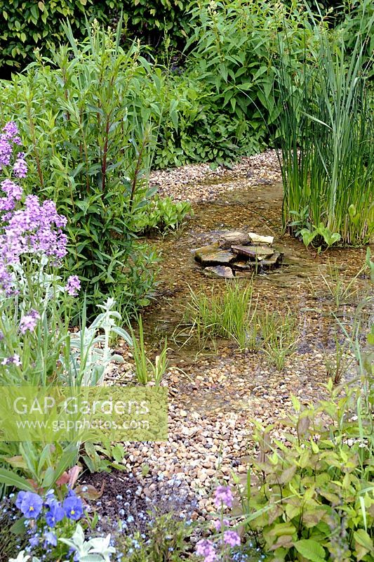 Natural pond with gravel and marginal plants