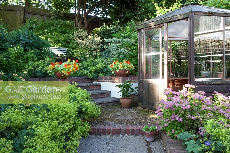 Garden view with Spirea 'Candlelight' Nasturtium 'Firebird' in terracotta pot, garden seat and hexagonal greenhouse