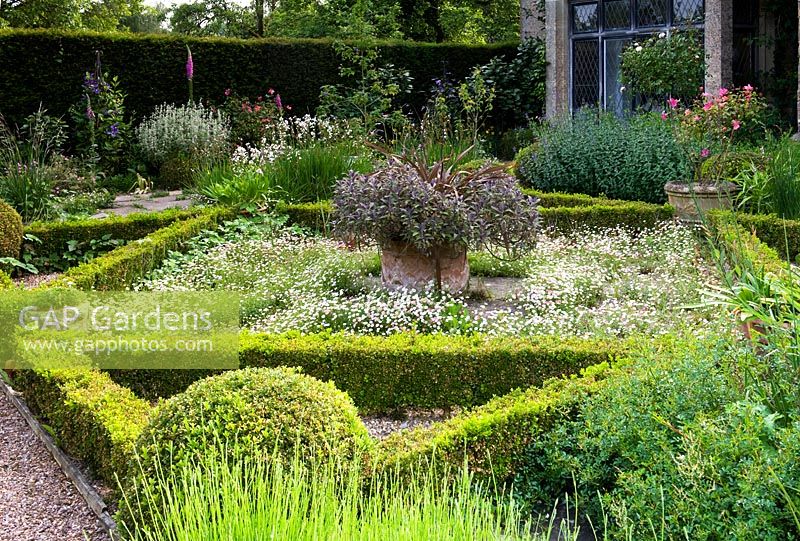 Cothay Manor, Greenham, Somerset, England summer, late June garden 