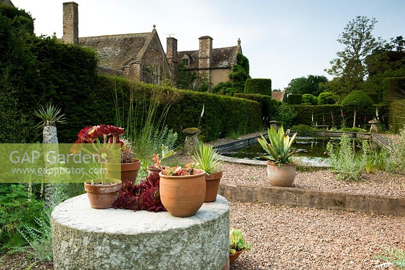 Swimming pool garden with mill stone table - containers with succulents  - houseleeks. Cothay Manor, Greenham, Somerset, England summer, late June garden 