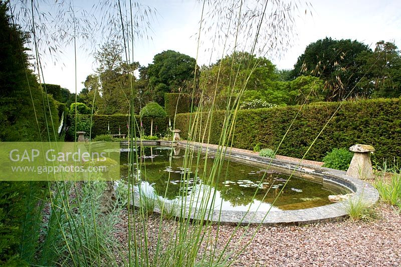 Swimming pool garden - Cothay Manor, Greenham, Somerset, England, summer, late June garden 