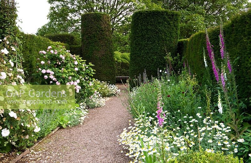 Cothay Manor, Greenham, Somerset, England summer - late June 
