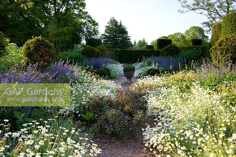 Cothay Manor, Greenham, Somerset. Herbaceous borders with gravel path

