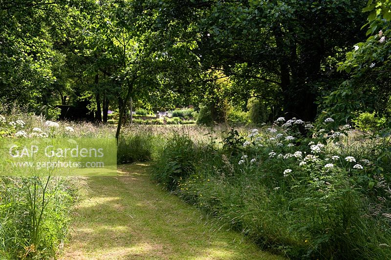 Cothay Manor, Greenham, Somerset. Mown path with trees and cow parsley 