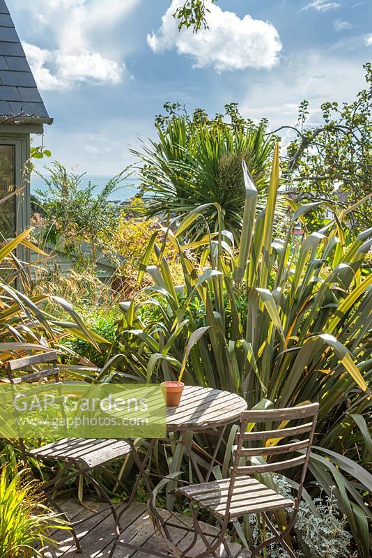 Table and chairs in seaside garden with Phormium tenax