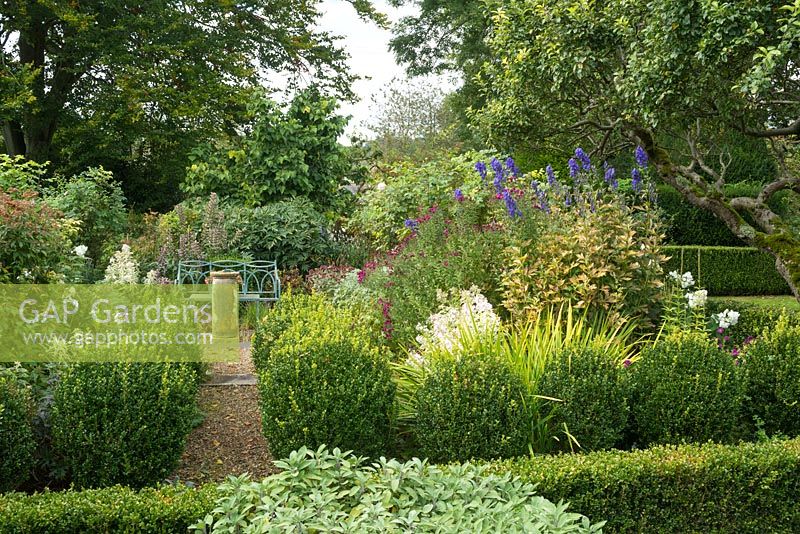 Formal garden in late summer with blue painted wrought iron bench, old sundial, gravel paths, herbaceous perennials including phlox, acanthus, aster and aconitums. Box balls (not yet clipped).