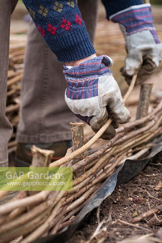 Making a hazel fence of a raised vegetable bed. Step by step.