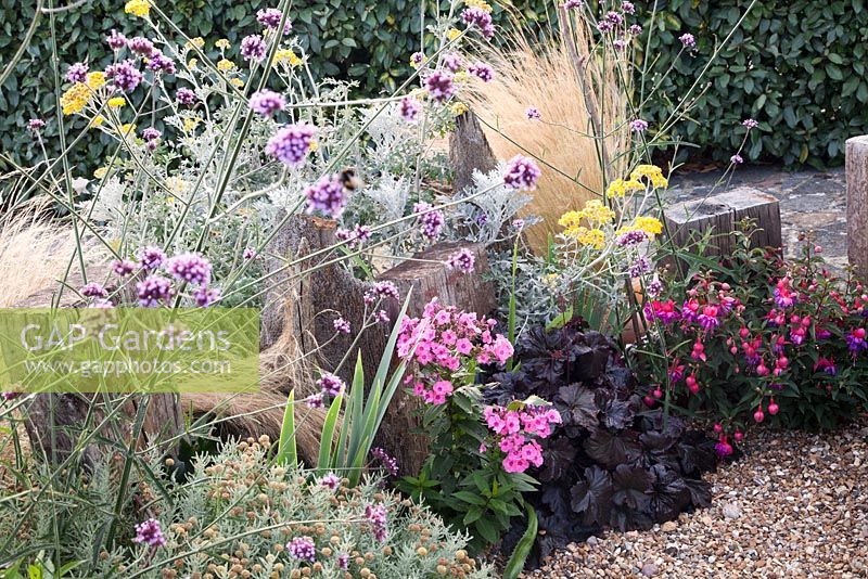 Seaside themed front garden with decorative driftwood and planting includes Phlox, Fuschia, Heuchera, Verbena and Stipa tenuissima