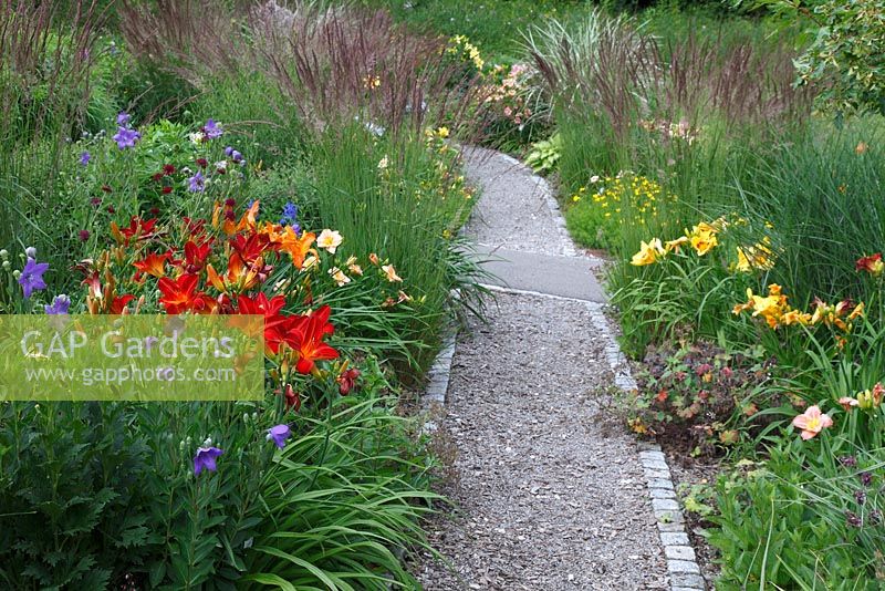 Borders with Hemerocallis 'Rotes Rathaus', Calamagrostis and Platycodon