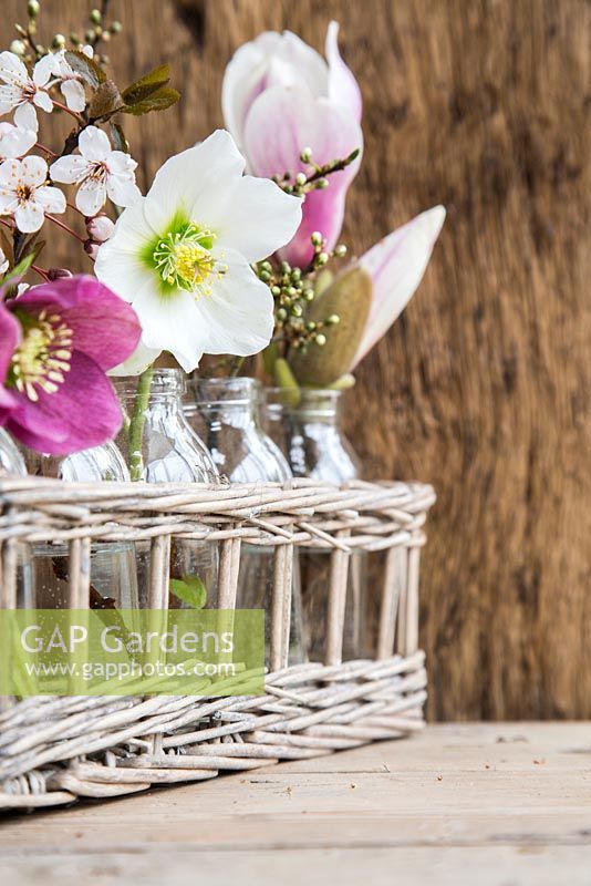 Floral arrangement of Hellebores, Magnolia, Cherry and Hawthorn