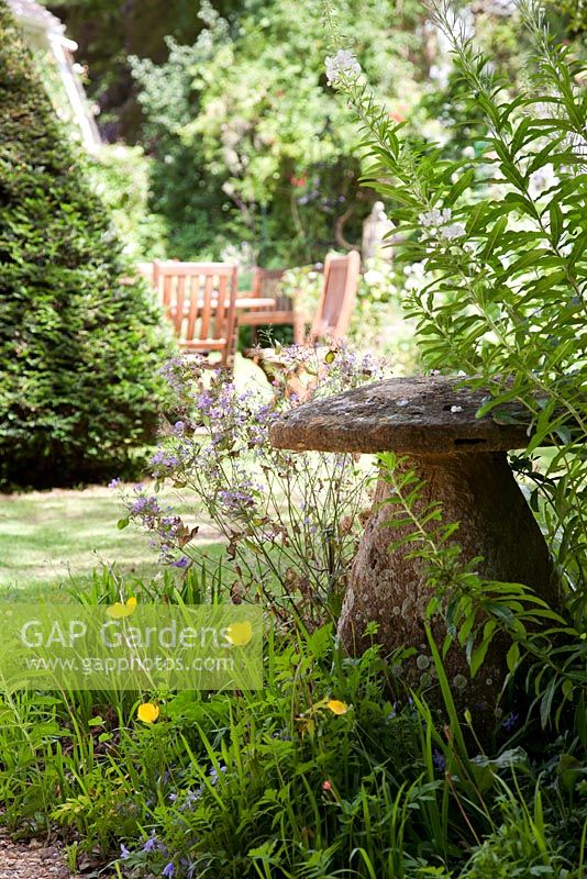 Garden view with a stone toadstool