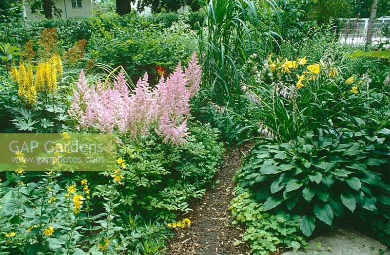 Create a mixed border in front garden - Planting three years later including Ligularia przewalskii, Astilbe chinensis, Hosta, Hemerocallis, Miscanthus 