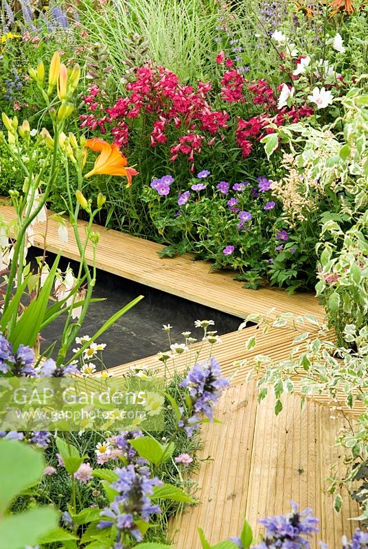 Decking around small pool with dense and colourful herbaceous borders 