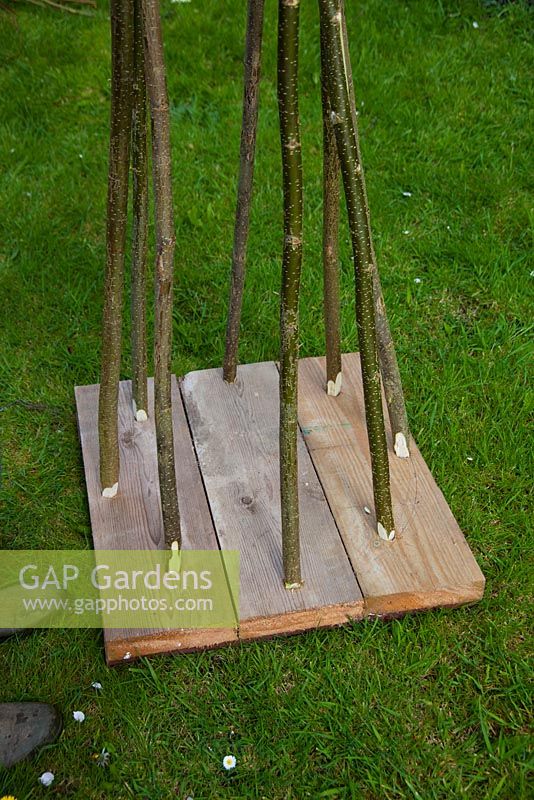 Building a Hazel and Willow obelisk - plank board with stems placed through holes made 