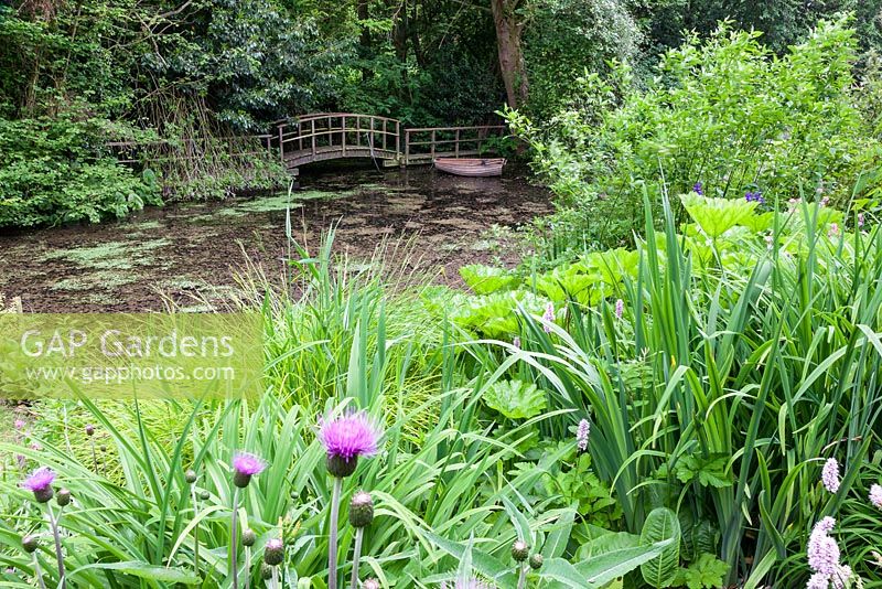 Main view of pond with walkway, boat and bridge on the far side. In the foregound are ornamental knapweed, Persicaria, yellow flag Iris pseudacorus,  Ligularia dentata and Bowles' golden sedge Carex elata 'Aurea'.