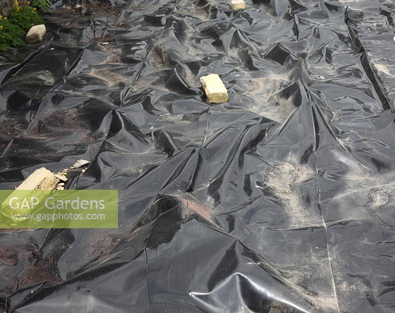 Using thick black polythene to prepare land for cultivation