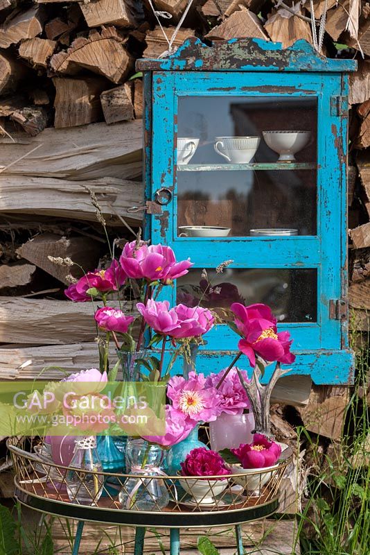 Backed by a wood pile and a blue cupboard with tea cups, arrangement of pink and red peonies on an antique metal desk