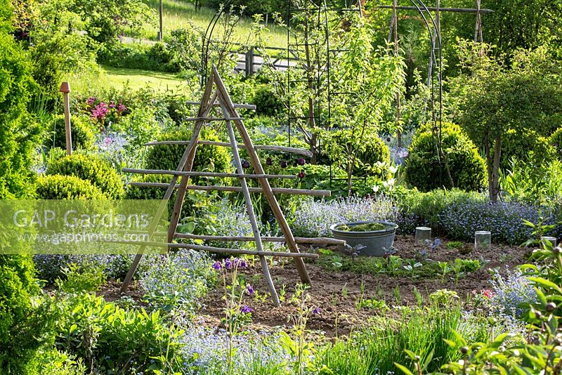 The vegetable patches are bordered with box spheres and self sown forget-me-nots. In the middle, a wooden haystack support