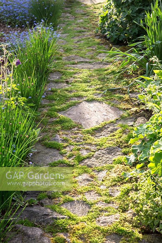 Garden path with a paving of flagstone and granite and grass grown gaps