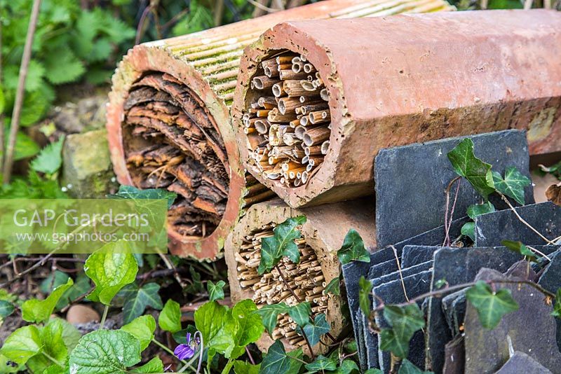 Terracotta pipes filled with a variety of nesting materials for Insects, in a garden border