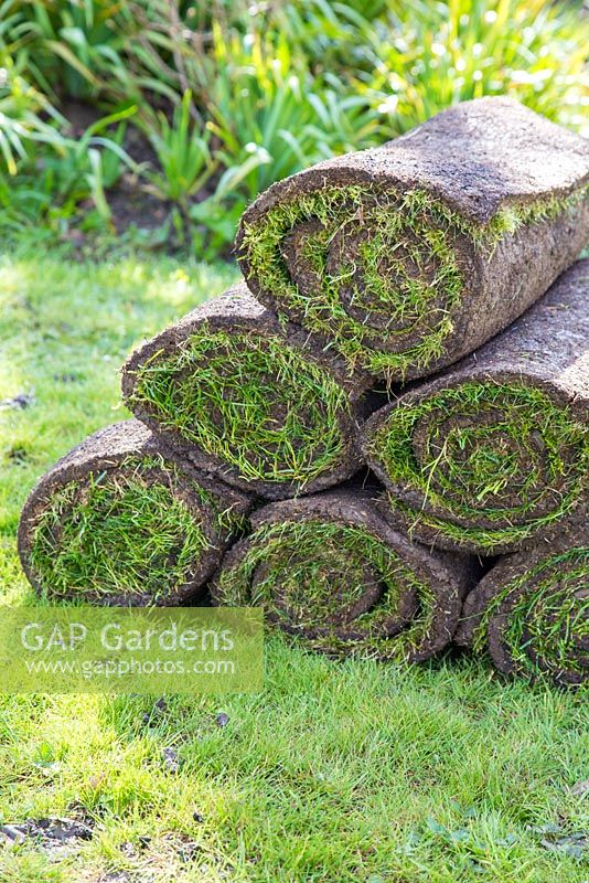 Pile of fresh turf rolls for resurfacing lawn