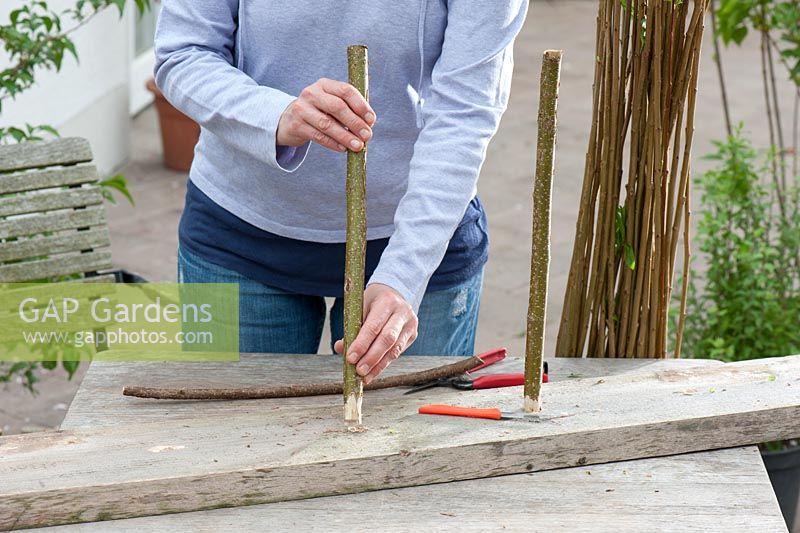 Creating a climbing frame - sticking willow branches into holes