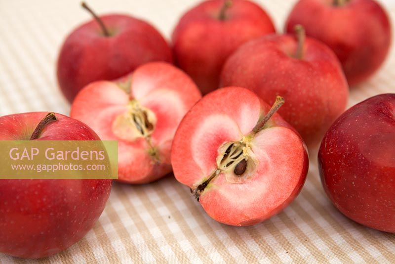 Malus 'Redlove Era' Apples - one halved revealing red flesh