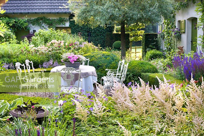 Summer border around relaxing area. Salvia'Caradonna', Astilbe 'Deutschland'. Dina  Deferme garden