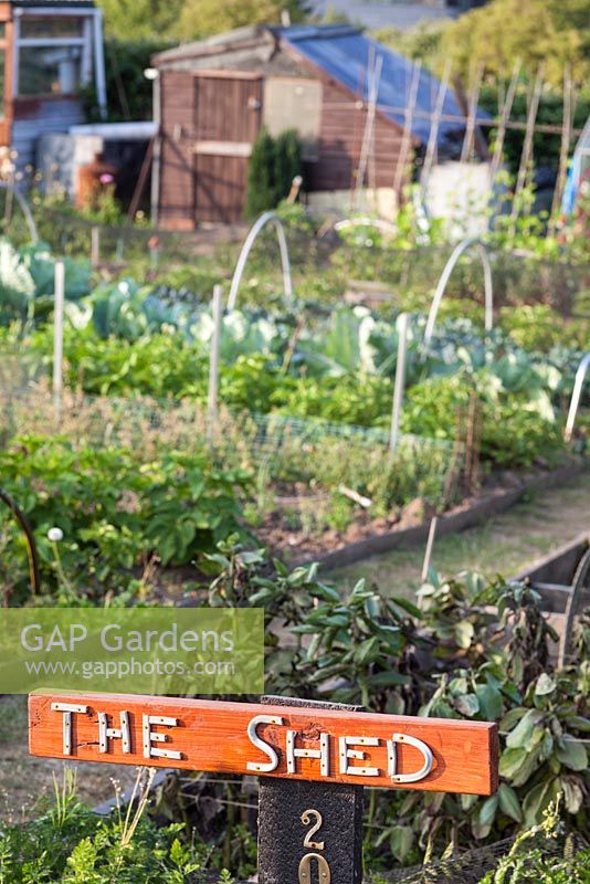 'The Shed' sign on allotment in Bristol